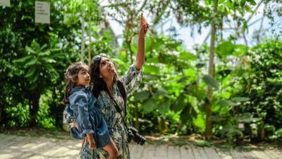 Woman and child gazing upwards at plants in the Rainforest Biome